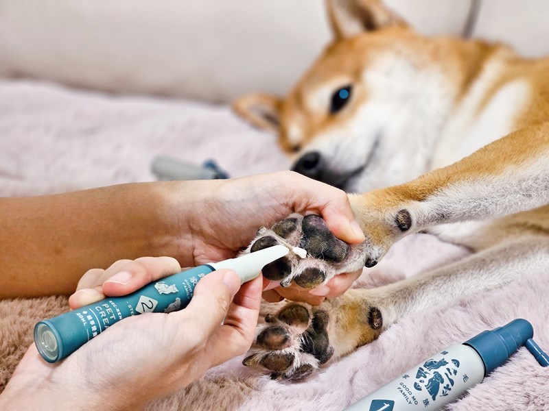 女人知己試用大隊,口碑行銷,部落客行銷,Goodmofamily歸毛家族 寵物肌膚救星組,歸毛家族 寵物肌膚救星,舒敏保濕洗毛乳,護膚噴液,精萃營養霜,博士30年生技專業,給足皮膚營養保護力,無抗生素 無類固醇,神經醯胺,19種綜合胺基酸,榮獲SNQ國家認證,上萬毛爸媽見證,3週幫助皮膚健康,NO.1寵物肌膚口碑霸主,寵物第一護膚領導品牌